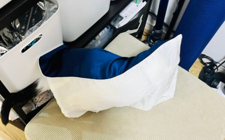 愛猫の姿が見えない！必死に探したら枕になりきっていた！これは見つけられないよ！