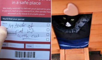 ここなら警備員がいて安全だと思った?置き配の荷物が置かれていた意外な場所とは・・??
