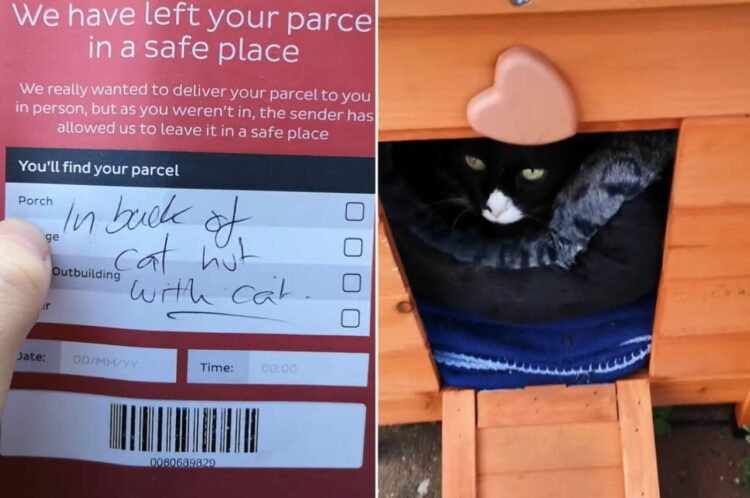 ここなら警備員がいて安全だと思った？置き配の荷物が置かれていた意外な場所とは・・？？