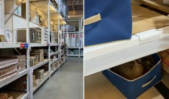 一緒に買い物に来た愛犬がいない！？いったいどこへ？と周囲を見渡してみたら・・思いもよらぬ場所に！！【海外・動画】