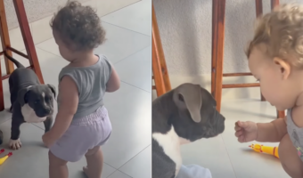 子犬にごはんを食べさせてあげる赤ちゃん。健気に世話を焼くその姿は、子犬のママみたい!!【海外・動画】