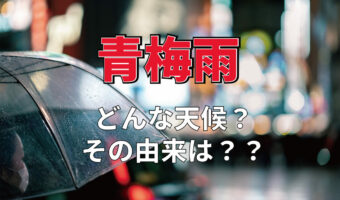 梅雨を指す言葉のひとつ「青梅雨」とはどんな様子?その由来は?