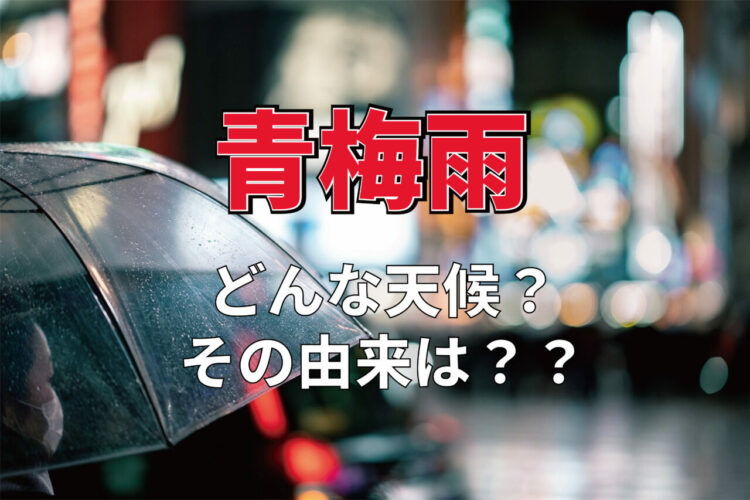 梅雨を指す言葉のひとつ「青梅雨」とはどんな様子？その由来は？