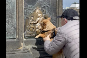 プラハの観光地で目撃された微笑ましい光景。撫でると願いが叶うとされるプレートを、おじいさんが愛犬にもナデナデさせていました！