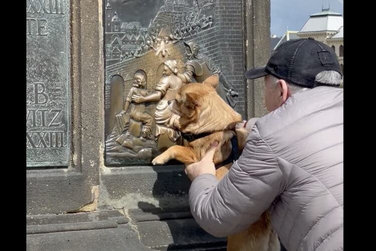 プラハの観光地で目撃された微笑ましい光景。撫でると願いが叶うとされるプレートを、おじいさんが愛犬にもナデナデさせていました！