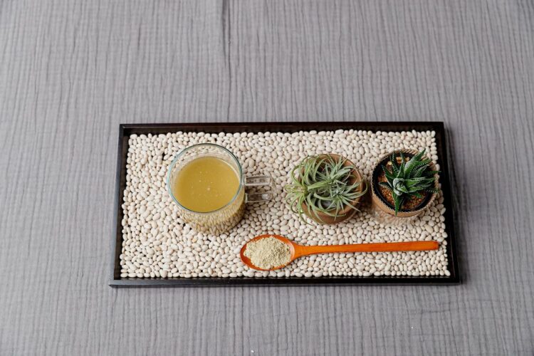 いんげん豆、その漢字表記は「隠元豆」ですが・・その由来はいんげん豆の伝来と密接な関係が！！