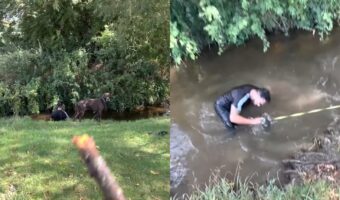 愛犬のために木の枝を川に向けて投げた女性。しかし、女性は知らなかったのです、その隣にいる男性がリードを握っていたことを【海外・動画】