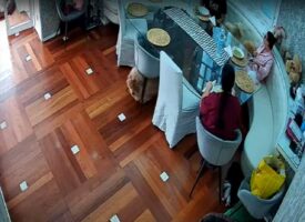 椅子の下をくぐろうとした愛犬。ところがもふもふな体が椅子に挟まって、そのまま移動しちゃっています！！【海外・動画】