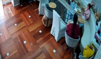 椅子の下をくぐろうとした愛犬。ところがもふもふな体が椅子に挟まって、そのまま移動しちゃっています!!【海外・動画】