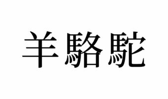 【読めたらスゴイ!】「羊駱駝」って一体何!?動物のこと??この漢字、あなたは読めますか?