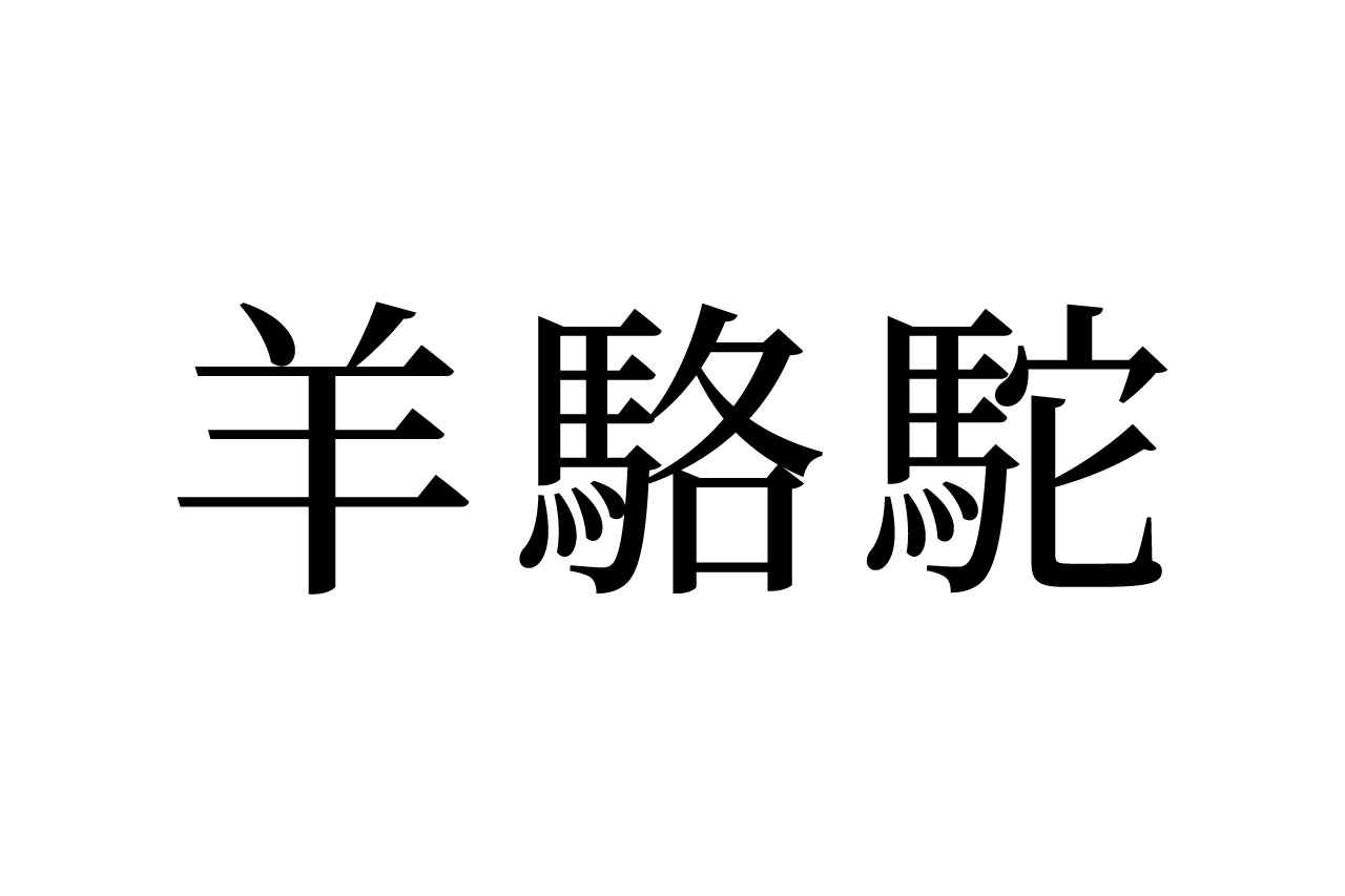 【読めたらスゴイ！】「羊駱駝」って一体何！？動物のこと？？この漢字、あなたは読めますか？