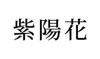 【読めたらスゴイ!】「紫陽花」ってどんな花?これから見頃を迎えるお花です!この漢字、あなたは読めますか?