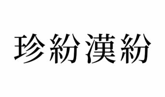 【読めたらスゴイ!】「珍紛漢紛」って何のこと?普通に読んでも大丈夫!?この漢字、あなたは読めますか?