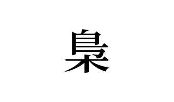 【読めたらスゴイ!】「梟」って何のこと!?木や鳥に関係するの!?この漢字、あなたは読めますか?