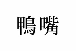 【読めたらスゴイ！】「鴨嘴」って一体何！？動物の名前？この漢字、あなたは読めますか？