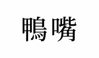 【読めたらスゴイ!】「鴨嘴」って一体何!?動物の名前?この漢字、あなたは読めますか?
