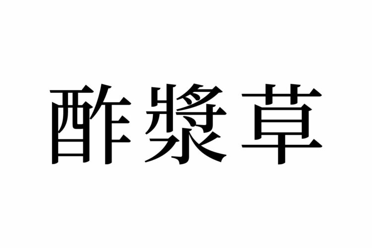 【読めたらスゴイ！】「酢漿草」ってどんな草？ハートの葉？この漢字、あなたは読めますか？