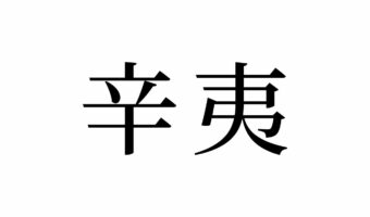 【読めたらスゴイ！】「辛夷」って何のこと？からいじゃないよ！この漢字、あなたは読めますか？
