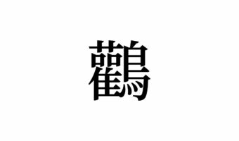 【読めたらスゴイ！】「鸛」って何のこと？総画数は28画！この漢字、あなたは読めますか？