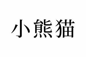 【読めたらスゴイ！】「小熊猫」ってどんな猫？「大熊猫」もある？この漢字、あなたは読めますか？