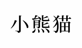 【読めたらスゴイ!】「小熊猫」ってどんな猫?「大熊猫」もある?この漢字、あなたは読めますか?