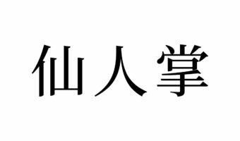【読めたらスゴイ!】「仙人掌」って一体何!?なんだか超能力が使えそう!この漢字、あなたは読めますか?