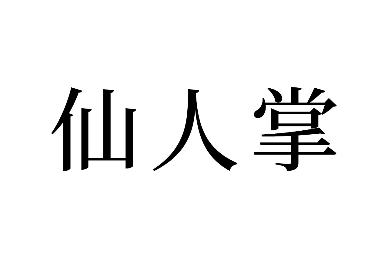 【読めたらスゴイ!】「仙人掌」って一体何!?なんだか超能力が使えそう!この漢字、あなたは読めますか?
