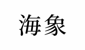 【読めたらスゴイ!】「海象」って何のこと!?まさに、海の象!この漢字、あなたは読めますか?
