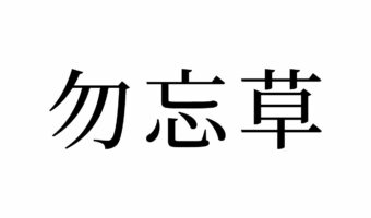 【読めたらスゴイ！】「勿忘草」ってどんな草！？元は悲しい恋物語だった！？この漢字、あなたは読めますか？