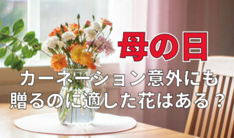 5月の第2日曜日は「母の日」！どんな花をプレゼントしたらいいの？感謝や愛を伝える花言葉のある花をご紹介！