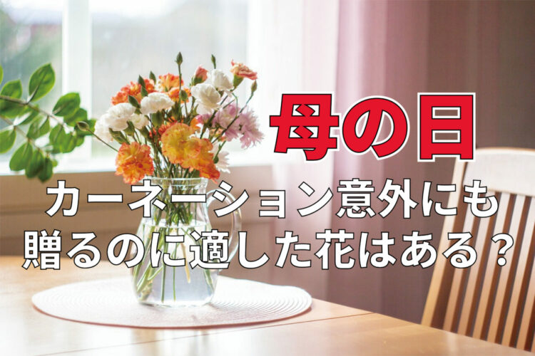 5月の第2日曜日は「母の日」！どんな花をプレゼントしたらいいの？感謝や愛を伝える花言葉のある花をご紹介！