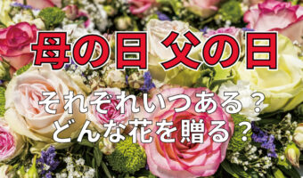 親に感謝を伝える「母の日」と「父の日」はそれぞれいつある?それぞれ何を贈る日?