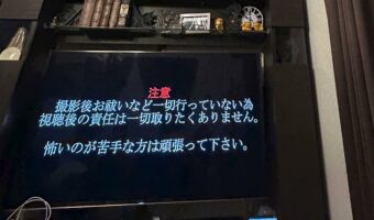 おわかりいただけただろうか?テレビとリンクして緊迫感を漂わせる愛猫の姿に反響「表情がテレビの内容とぴったり」
