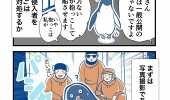 南極のペンギンがかわいすぎるマンガ!南極観測隊員たちもメロメロに