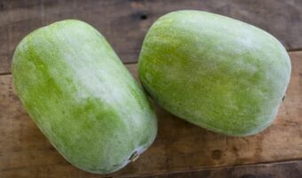 「冬瓜」は冬のウリと書くけど、その旬は夏!?一体なぜそんな名前になったの??