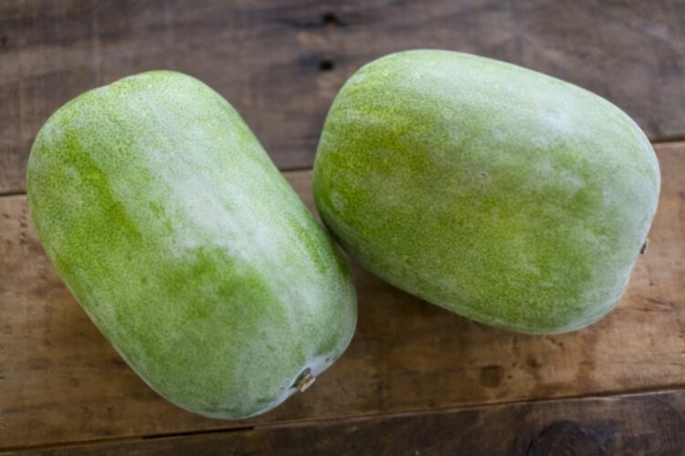 「冬瓜」は冬のウリと書くけど、その旬は夏！？一体なぜそんな名前になったの？？