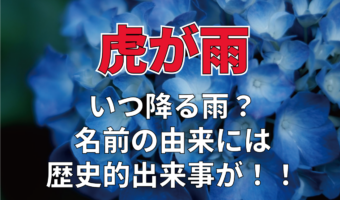 梅雨時の言葉のひとつ「虎が雨」。この虎は動物のことではなく人名なんです!!