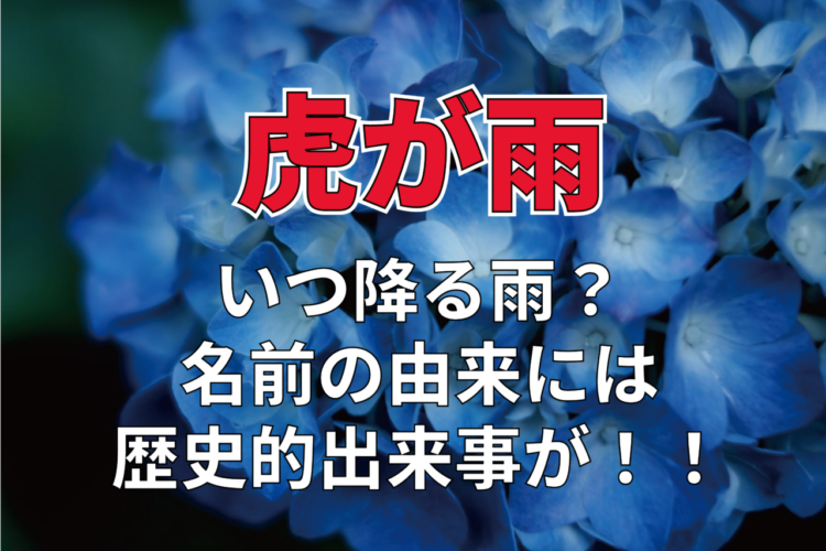 梅雨時の言葉のひとつ「虎が雨」。この虎は動物のことではなく人名なんです！！