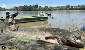 デカすぎる!!イタリア人釣りプロが釣り上げた大ナマズ!体長なんと285㎝で世界一の可能性