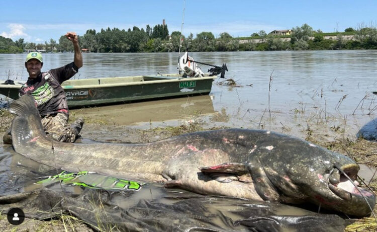 デカすぎる！！イタリア人釣りプロが釣り上げた大ナマズ！体長なんと285㎝で世界一の可能性