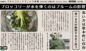 安心してください!ブロッコリーを茹でた時に出る油膜は農薬ではなくブルームですよ!
