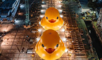 世界を旅する超巨大アヒルちゃんが帰還！なんとお友達を連れて2匹になって帰ってきた？