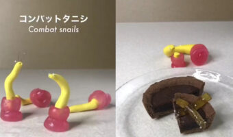 食べられる未確認生物を扱うお店「クレイジーチョコレート」調理動画が面白いので是非見てほしい!