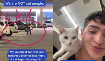 仕事中に突然猫の飼い主に選定された!足にしがみついて離れない猫さん