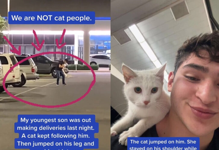 仕事中に突然猫の飼い主に選定された！足にしがみついて離れない猫さん