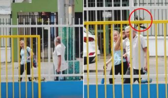 近くに巣でもあるのかな？通りかかる人の頭を小突いてくる鳥。警戒しながら歩いても・・【海外・動画】