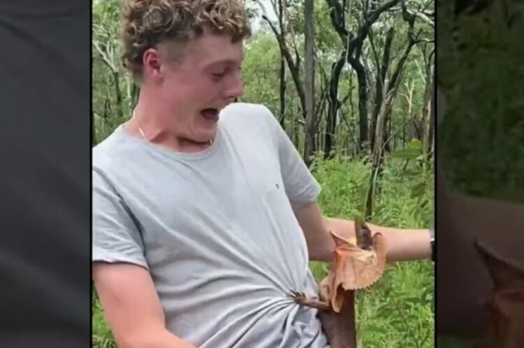 スマホに興味ある？口を大きく開けてエリマキトカゲが男性の足をのぼっていきます！！