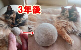 3年間に渡って愛猫の抜け毛を丸め続けた結果が凄まじいことに！！「美術品的なものを感じました」「フェルトみたい」
