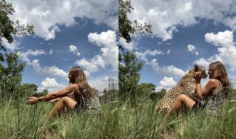 まるでペットの猫！女性の腕の中に飛び込み、気持よさそうに撫でてもらうのは・・、チーター？！！【海外・動画】