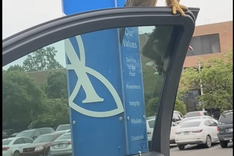 これはしばらく車から降りられない！？ドアを開け降りようとしたところ、ドアに飛翔してきたのは・・！！【アメリカ・動画】